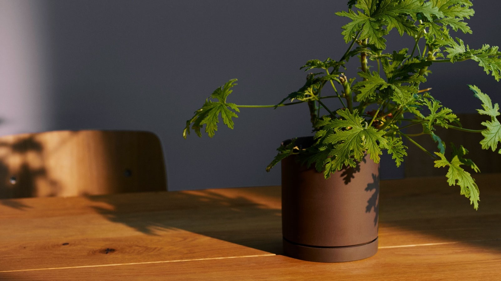 2030 Target: Make homes healthier and more sustainable through smart solutions for air, water and floors